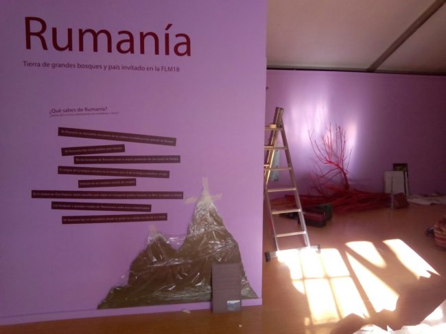 Pabellón Infantil en construcción: Rumanía