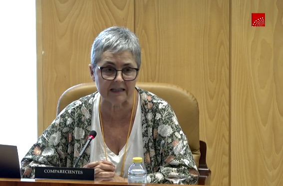 La Feria del Libro de Madrid comparece por primera vez en el parlamento autonómico