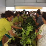 Asociación Plantamos Árboles