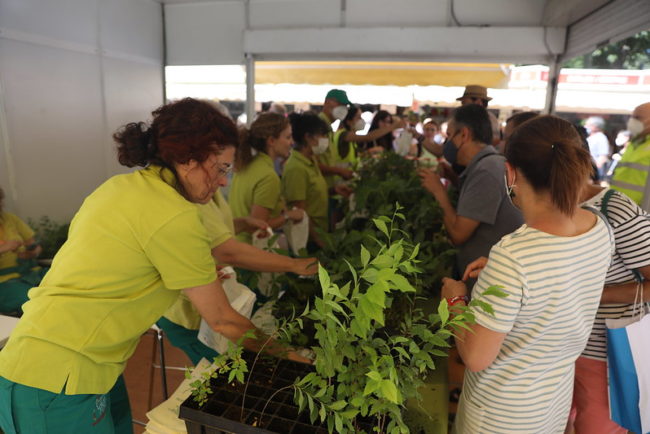 Asociación Plantamos Árboles
