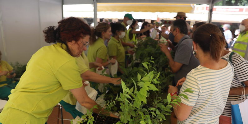 Asociación Plantamos Árboles Asociación Plantamos Árboles